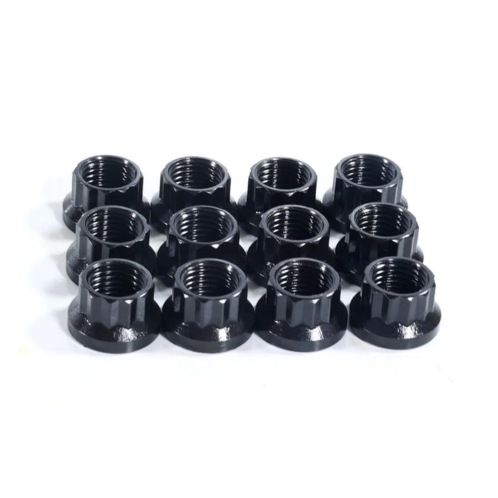 12 Point Nuts 7/16" - 20, 0.6 in. flange, Socket Size 1/2" x 12 pcs N1402